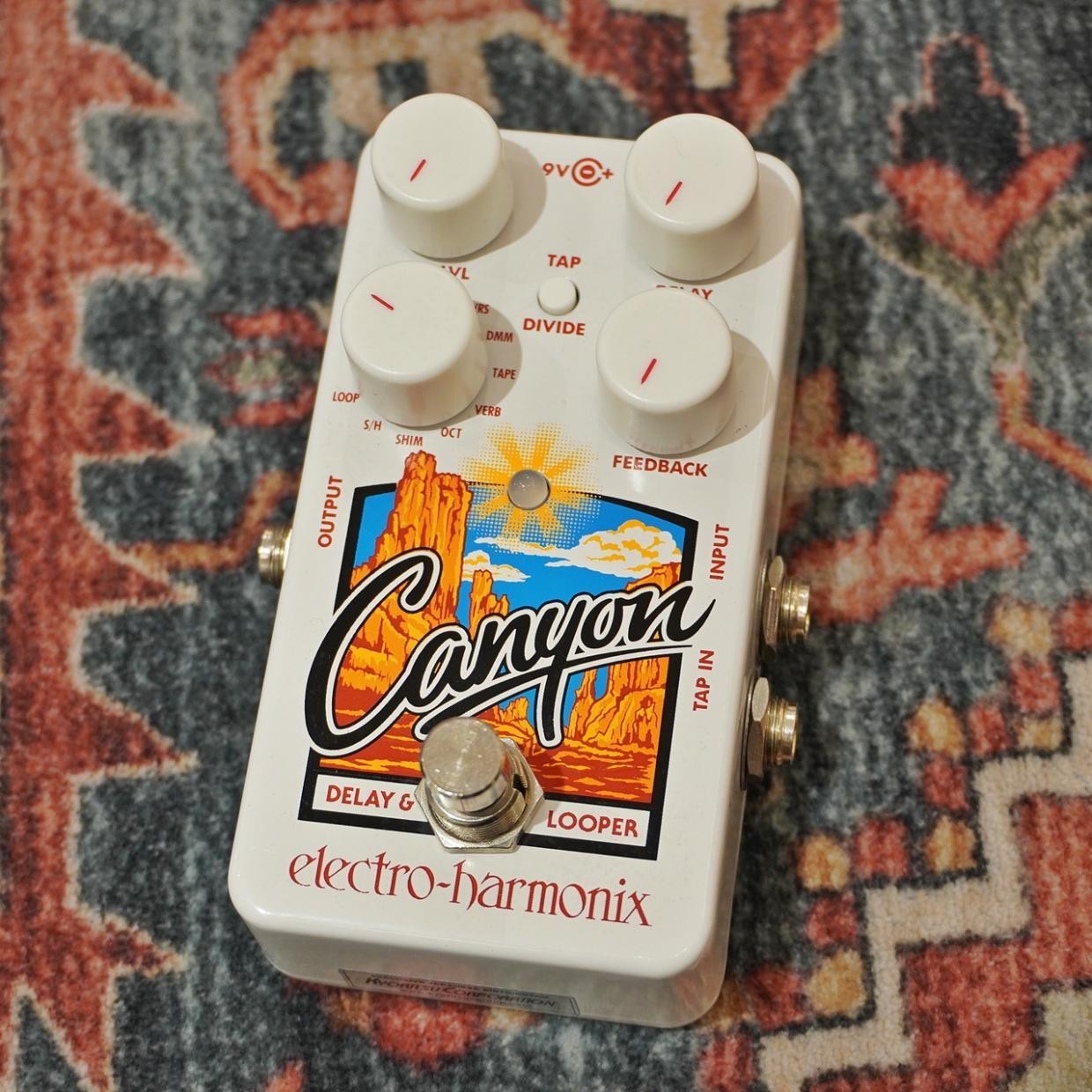 Electro-Harmonix Canyon 967530