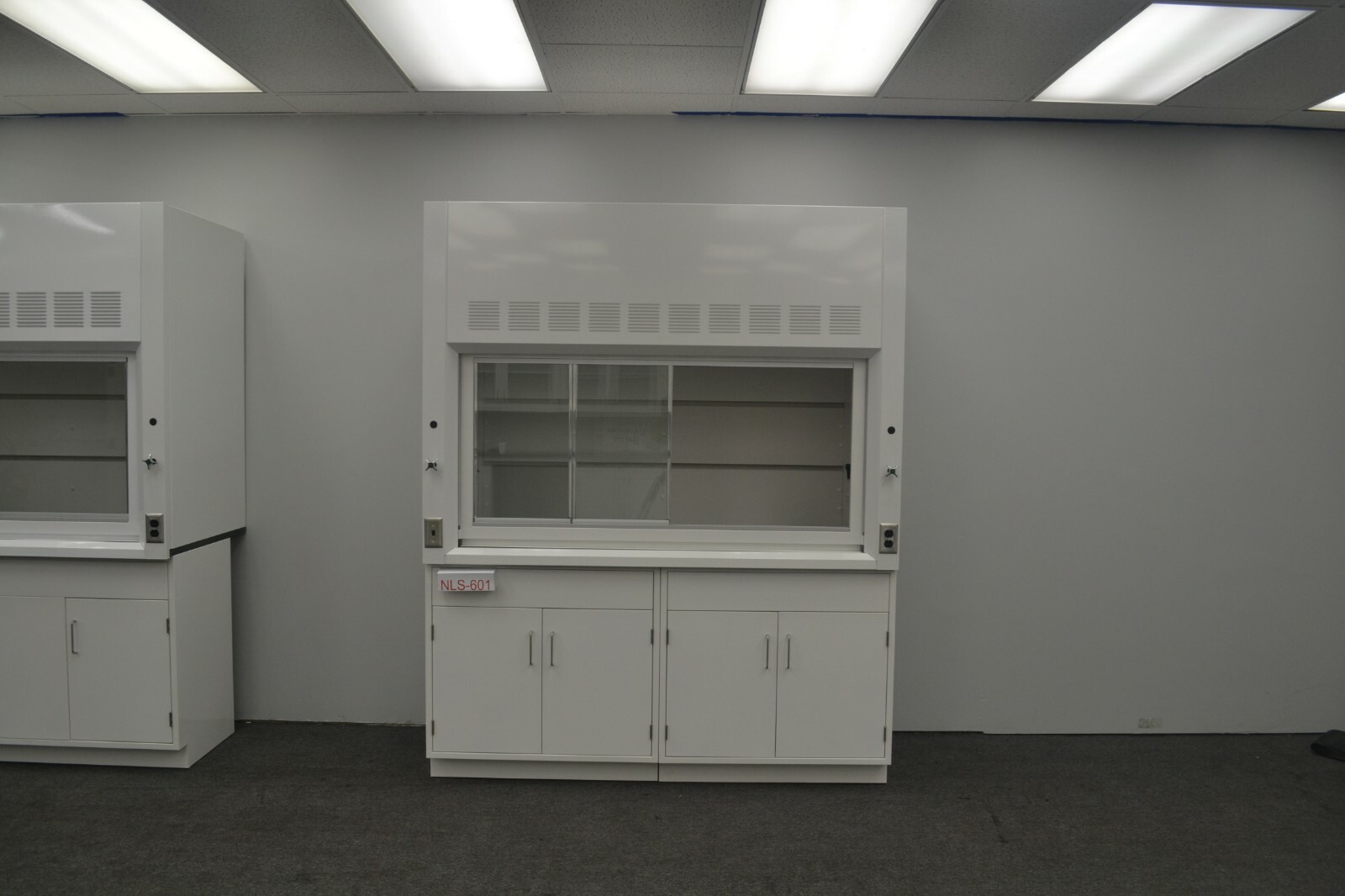 Laboratory 6' Fume Hood Enclosure w/ General Storage / E2-019
