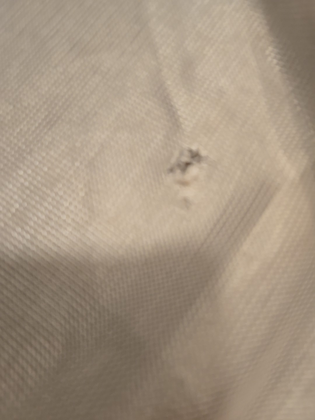Pessoa Ultimate Fly Sheet 62