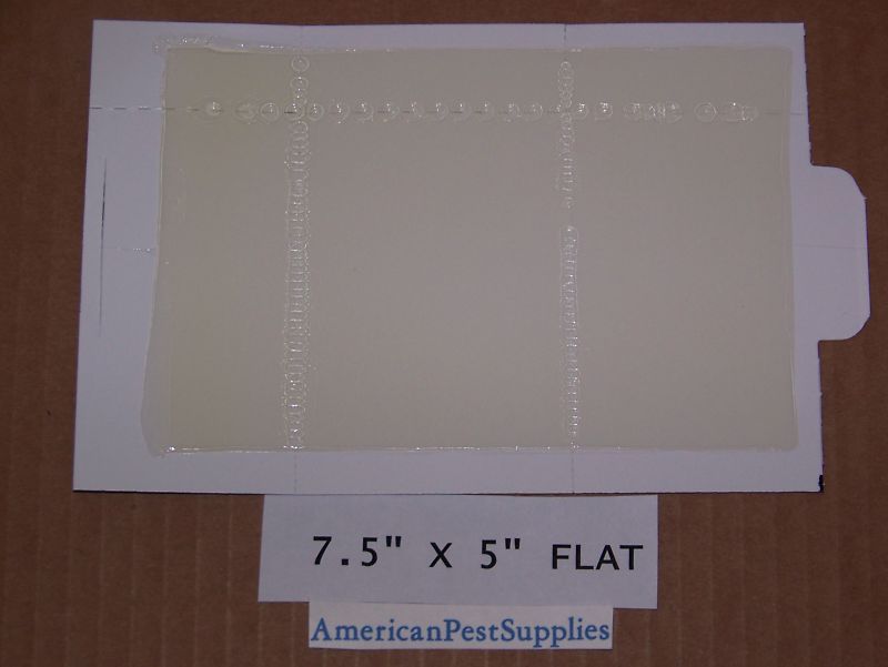 Glue Boards Glue Traps Mouse Traps Insect Traps 288 Pack Unscented Sticky Traps