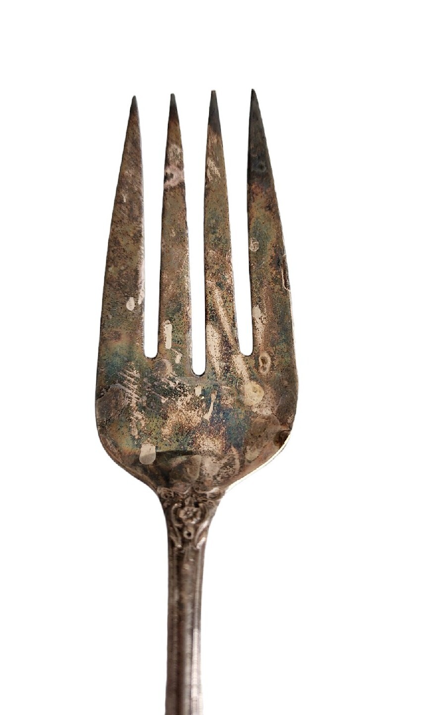 WM Rogers Grand Elegance Extraplate Flatware International Silver Serving Fork