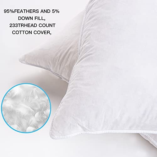 14"x24" Pillow Inserts Soft Feather Pillow Set of 2 14×24inches（Pack of 2）