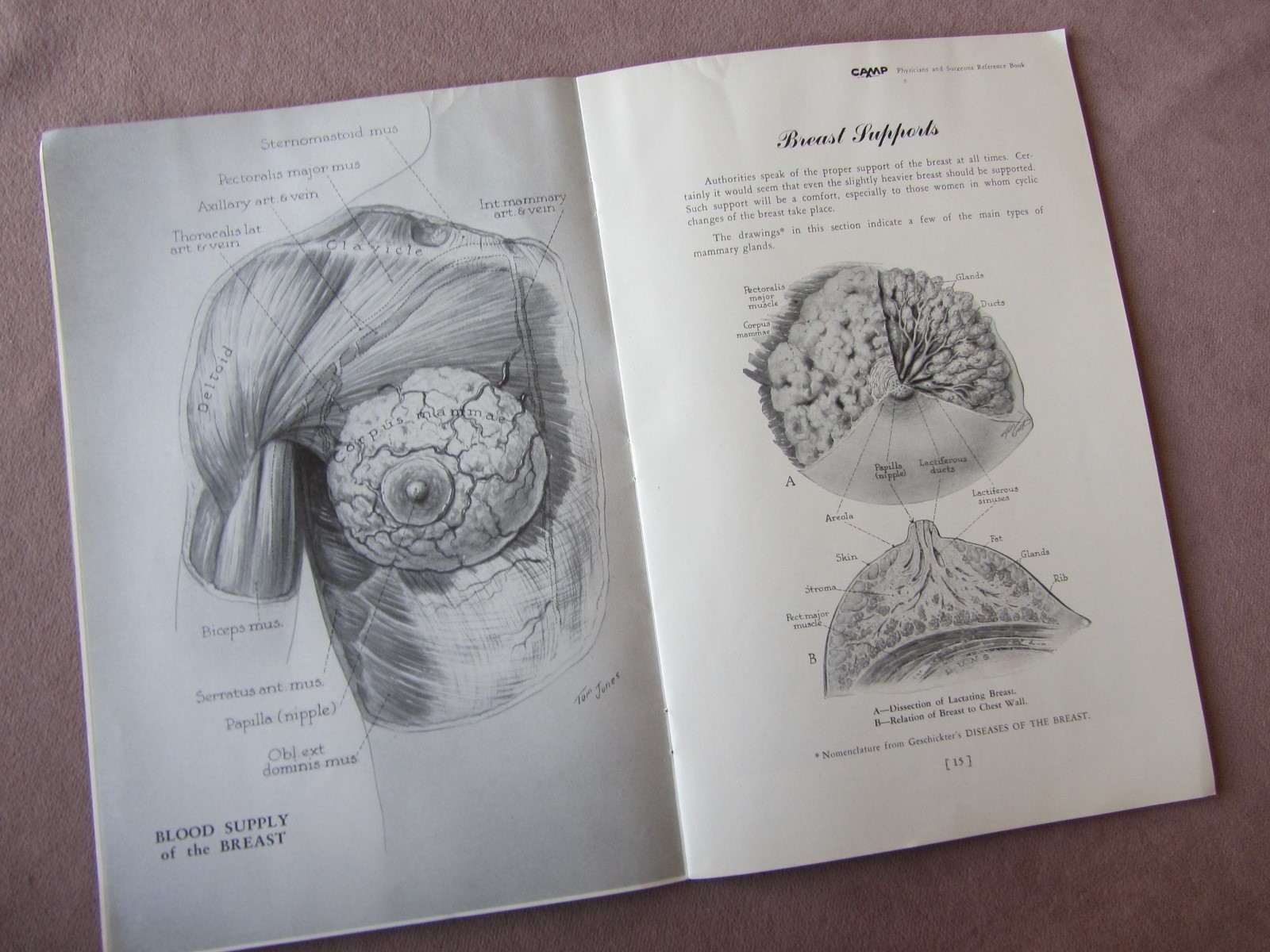 1948 Physicians + Surgeons Reference Book *Prescribing CAMP Anatomical Supports