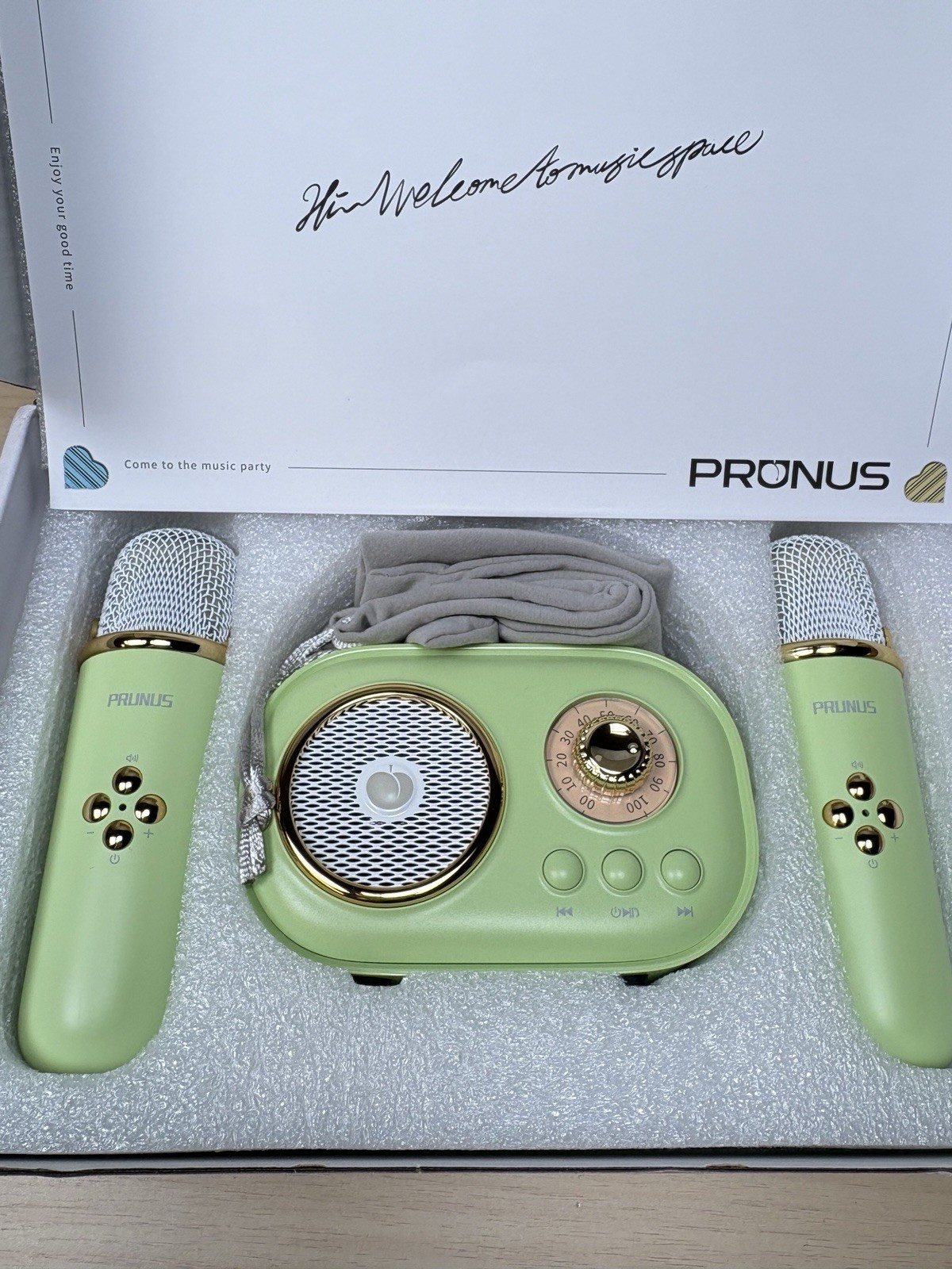 PRUNUS C20 Mini Karaoke Machine Portable Bluetooth Speaker