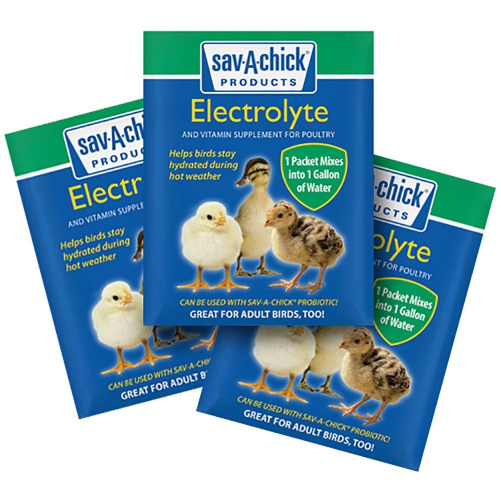 Sav-A-Chick Electrolyte and Vitamin Supplement 3 count .25 oz Packets - 20 Pack