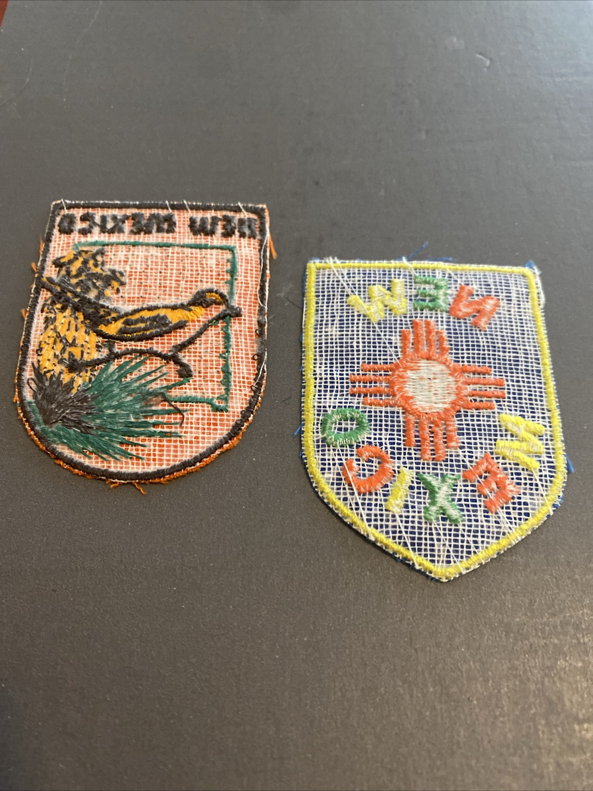 VTG Voyager Lot Of 2 Different NEW MEXICO Souvenir Patches