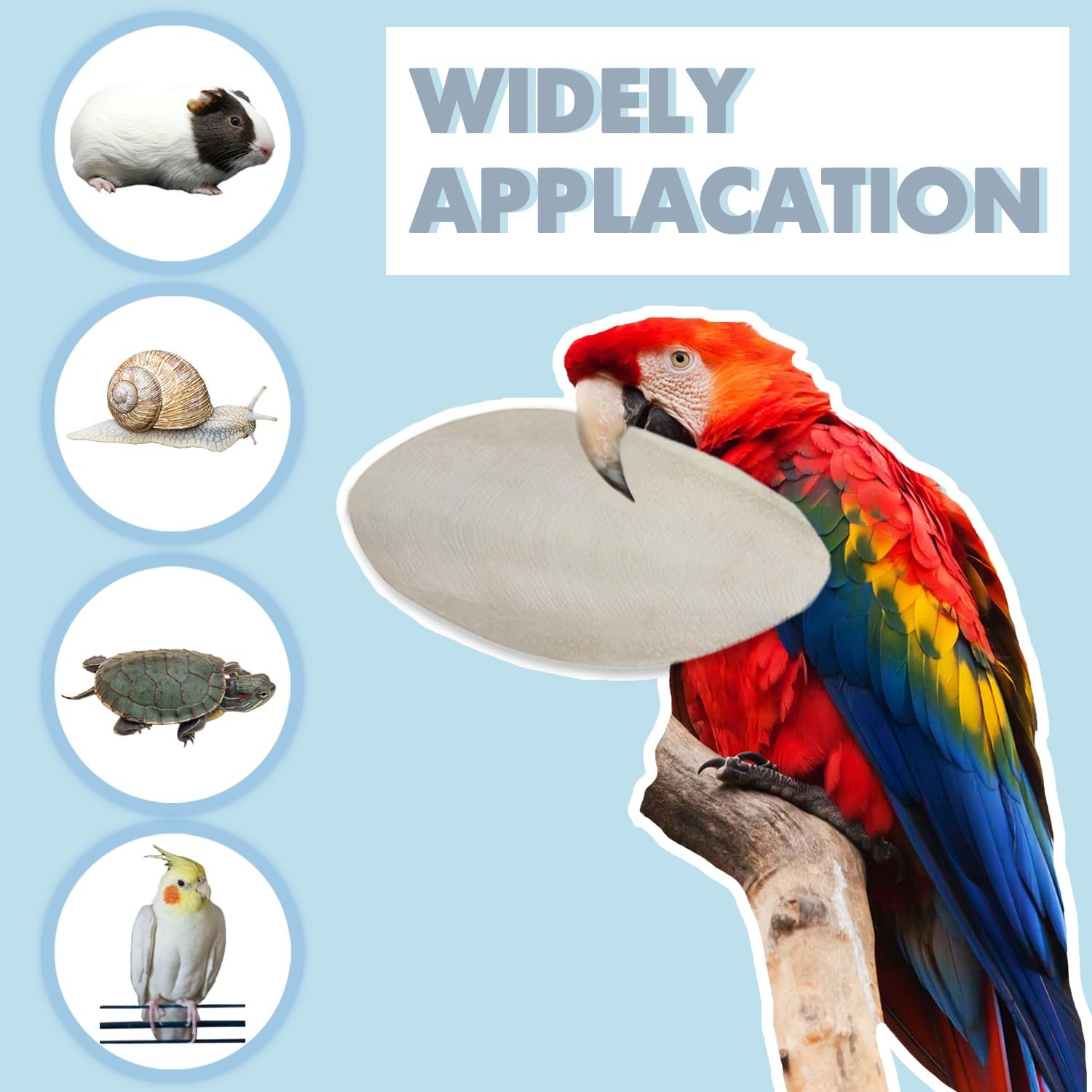 Bird Cuttlebone for Parakeets, Cuddle Bone, Birds Calcium, 3.5"-4", 4 Pcs