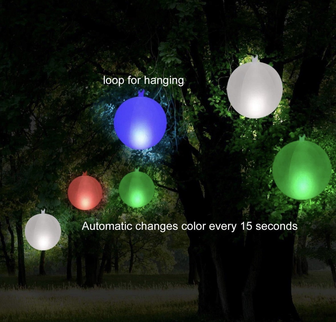 Solar Powered Glow Globe