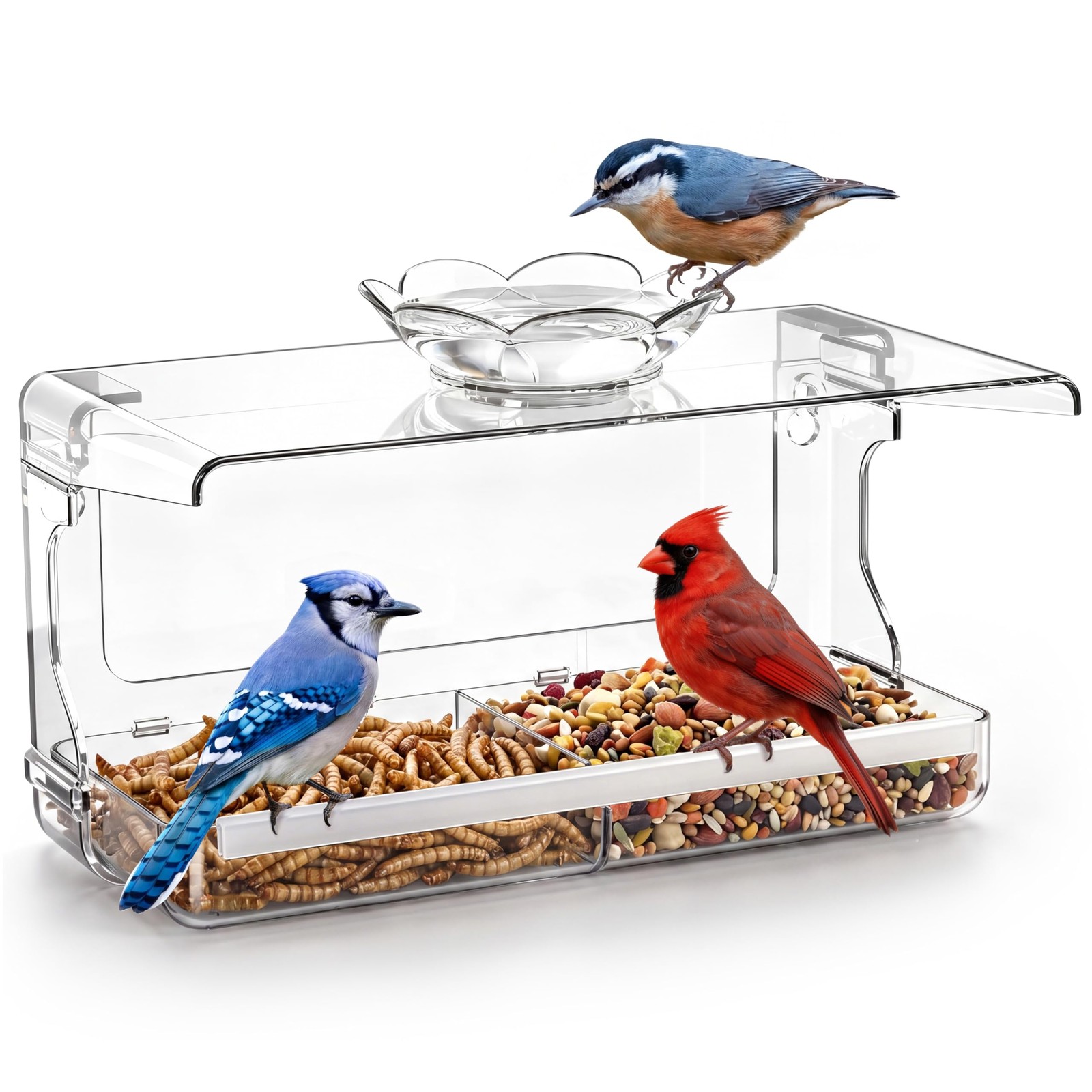 WENMIXER Window Bird Feeder with Non-Marking Self-Adhesive Hooks, Clear