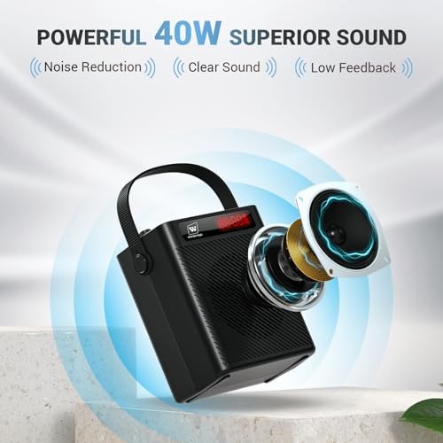 Voice Amplifier Wireless Microphone/Handheld Mic with 4 Sound Effects S95 |