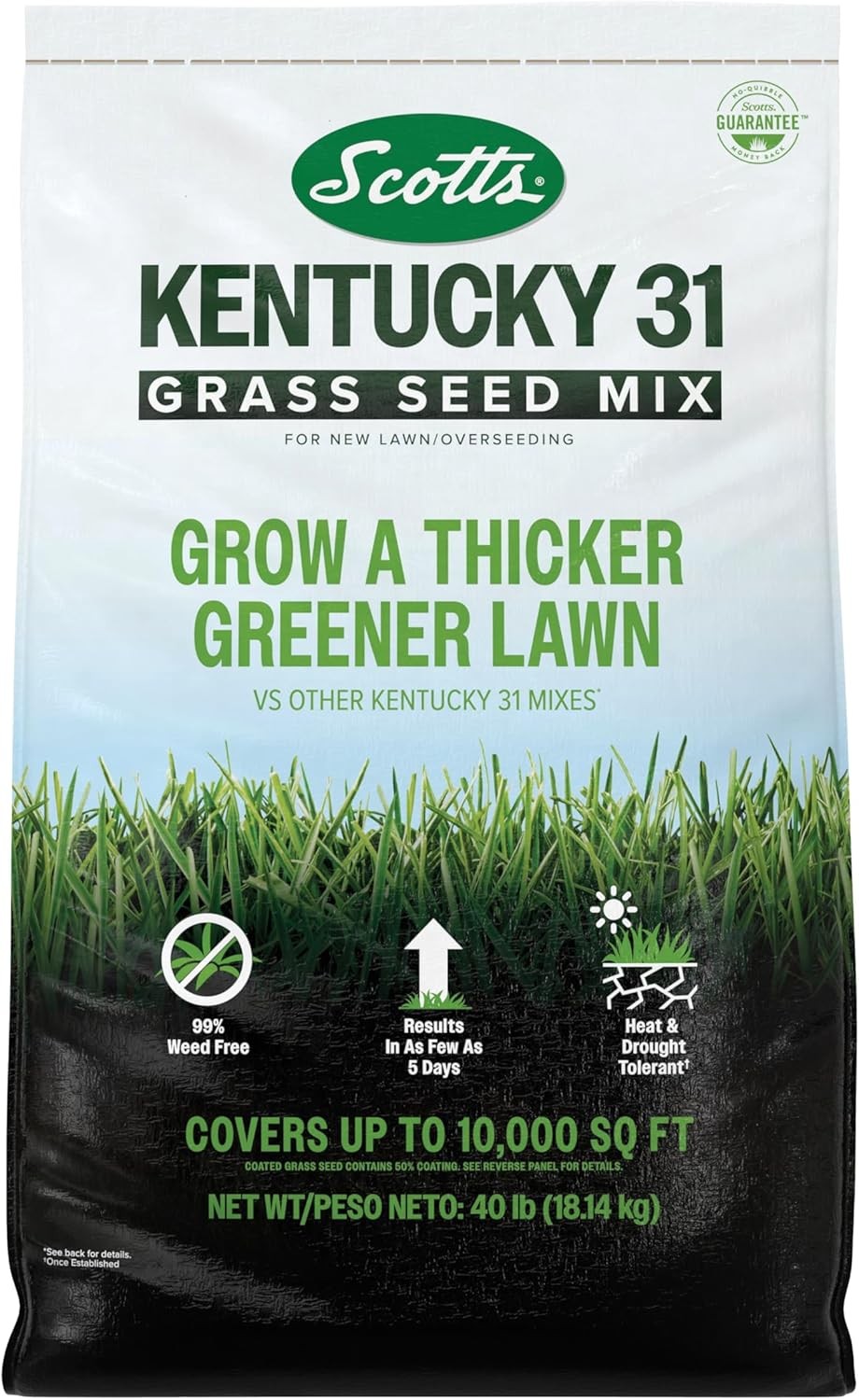 Scotts Kentucky 31 Grass Seed Mix - Premium Lawn Grass Seed, Covers Up to 10,000