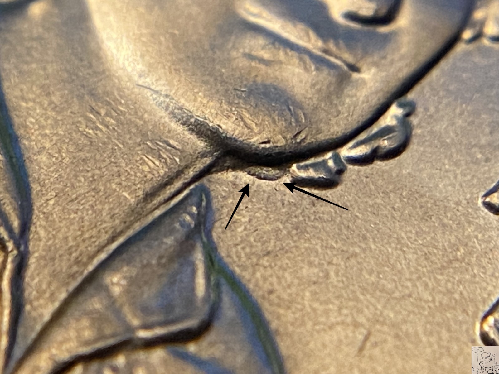 2022-P Sally Ride Quarter 25c - VDDR-003 Doubled Die Reverse (31)