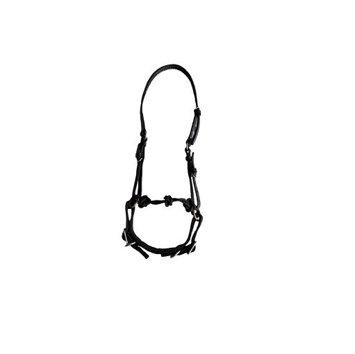 Handmade Paso Fino Jaquima Leather Headstall Barbada Curb Strap Training Bridle