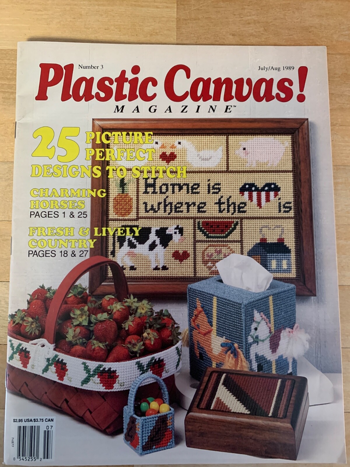 PLASTIC CANVAS MAGAZINE Tissue Box Cover, Strawberries, Sugar & Spice, Craft Bag
