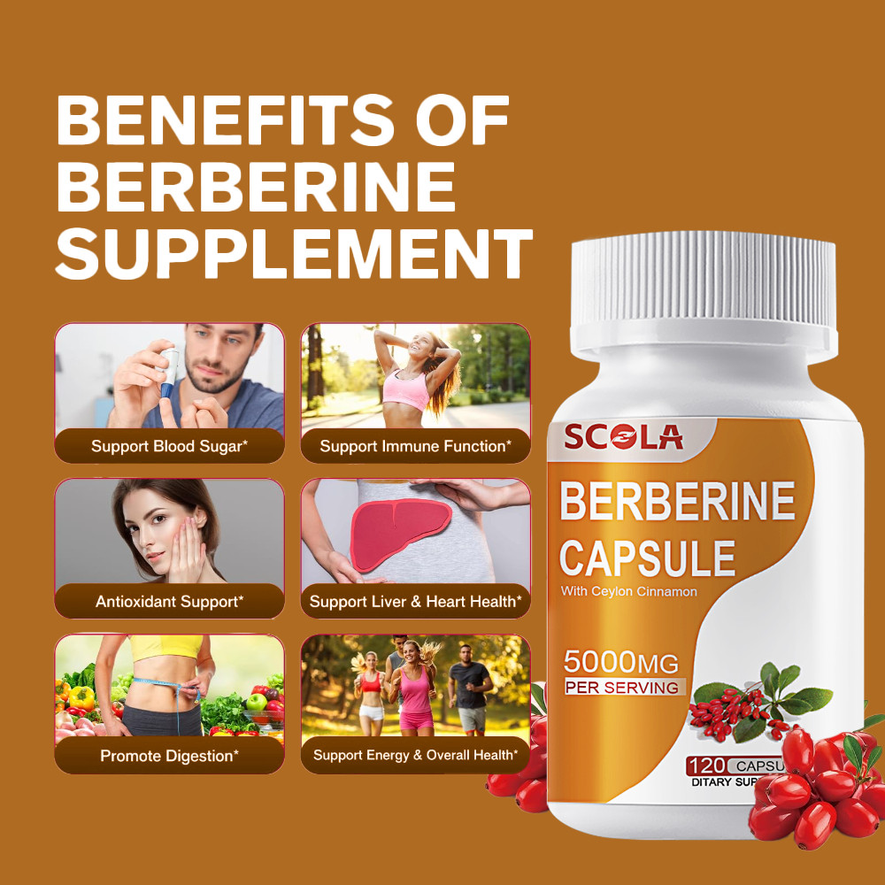 Berberine HCL Premium Extract Ceylon Cinnamon Antioxidant 5000mg 120 Capsules