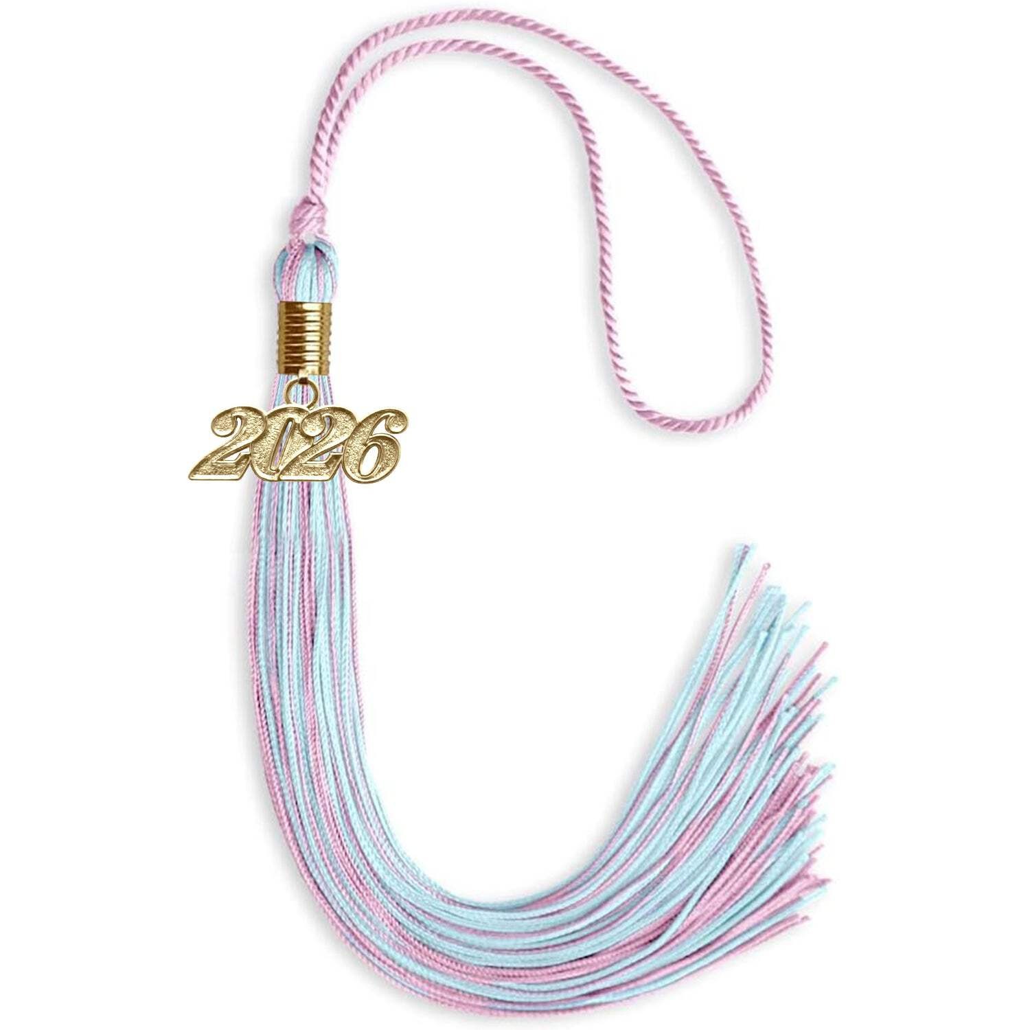 Endea Graduation Pink/Light Blue Mixed Color Tassel With Gold Date Drop