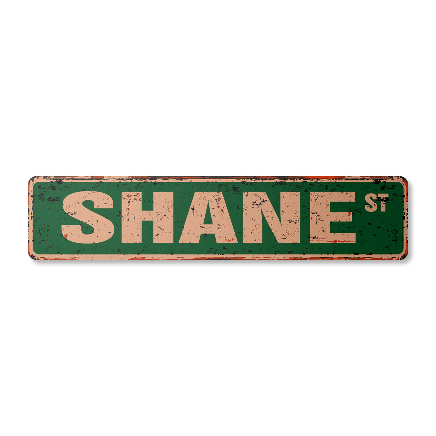 SHANE Vintage Street Sign Childrens Name Room Metal Sign