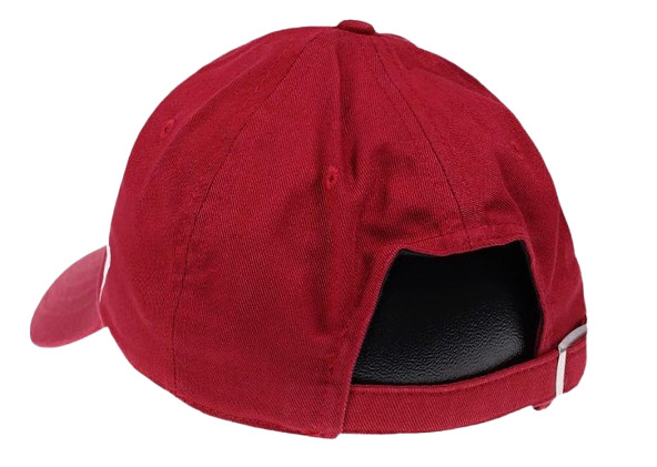 Fanatics Colorado Avalanche Primary Logo Adjustable Strapback Hat