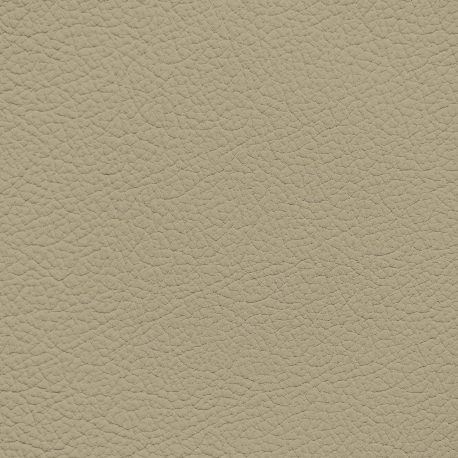 Jaguar Beige Leather Dye