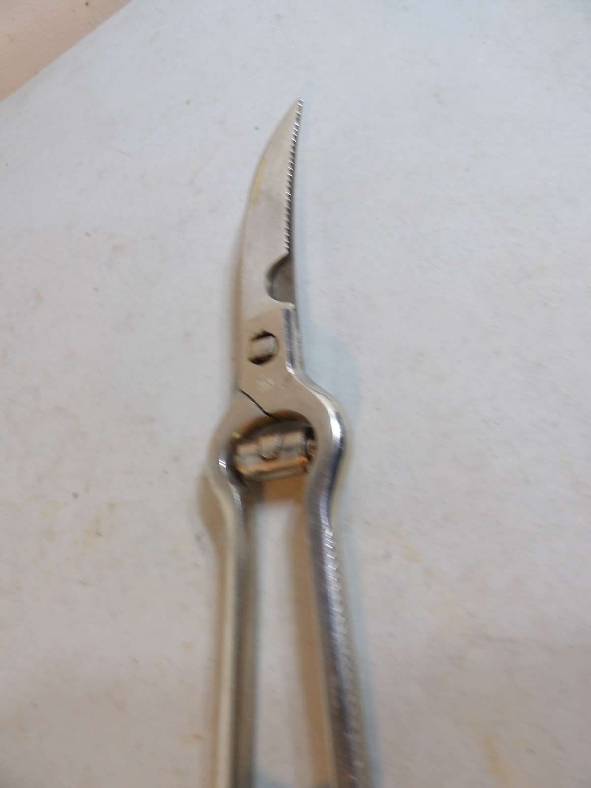 Drezack Poultry Shears