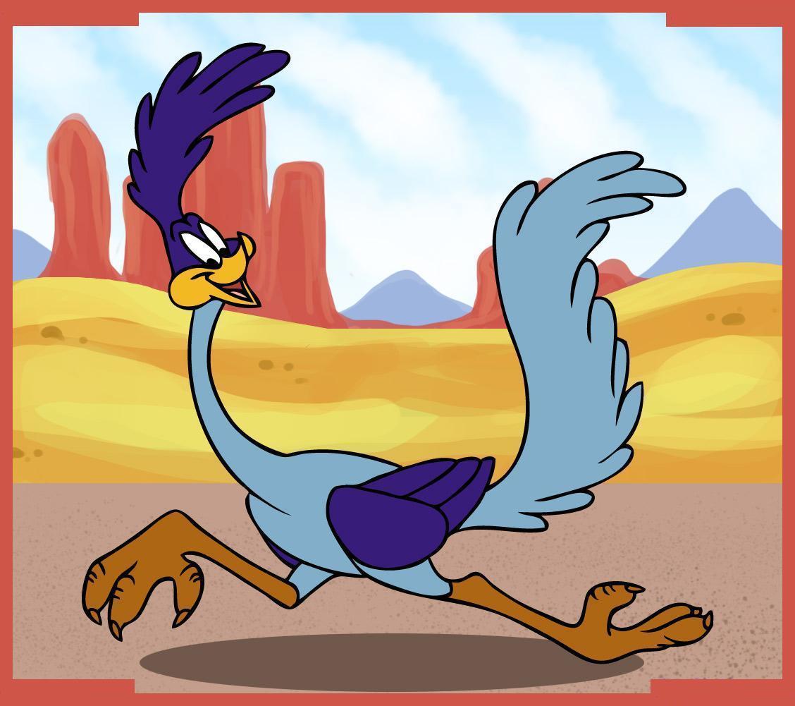 Road Runner # 10 - 8 x 10 Tee Shirt Iron On Transfer