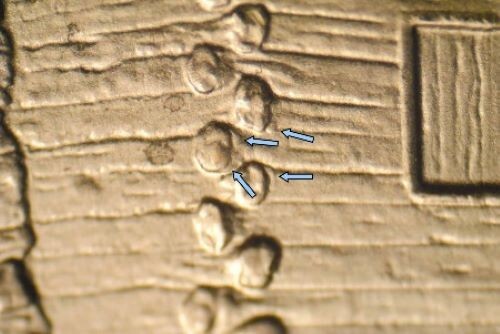 2009 D EC WDDR-056 Lincoln Cent Early Childhood Log Cabin Birthplace Doubled Die