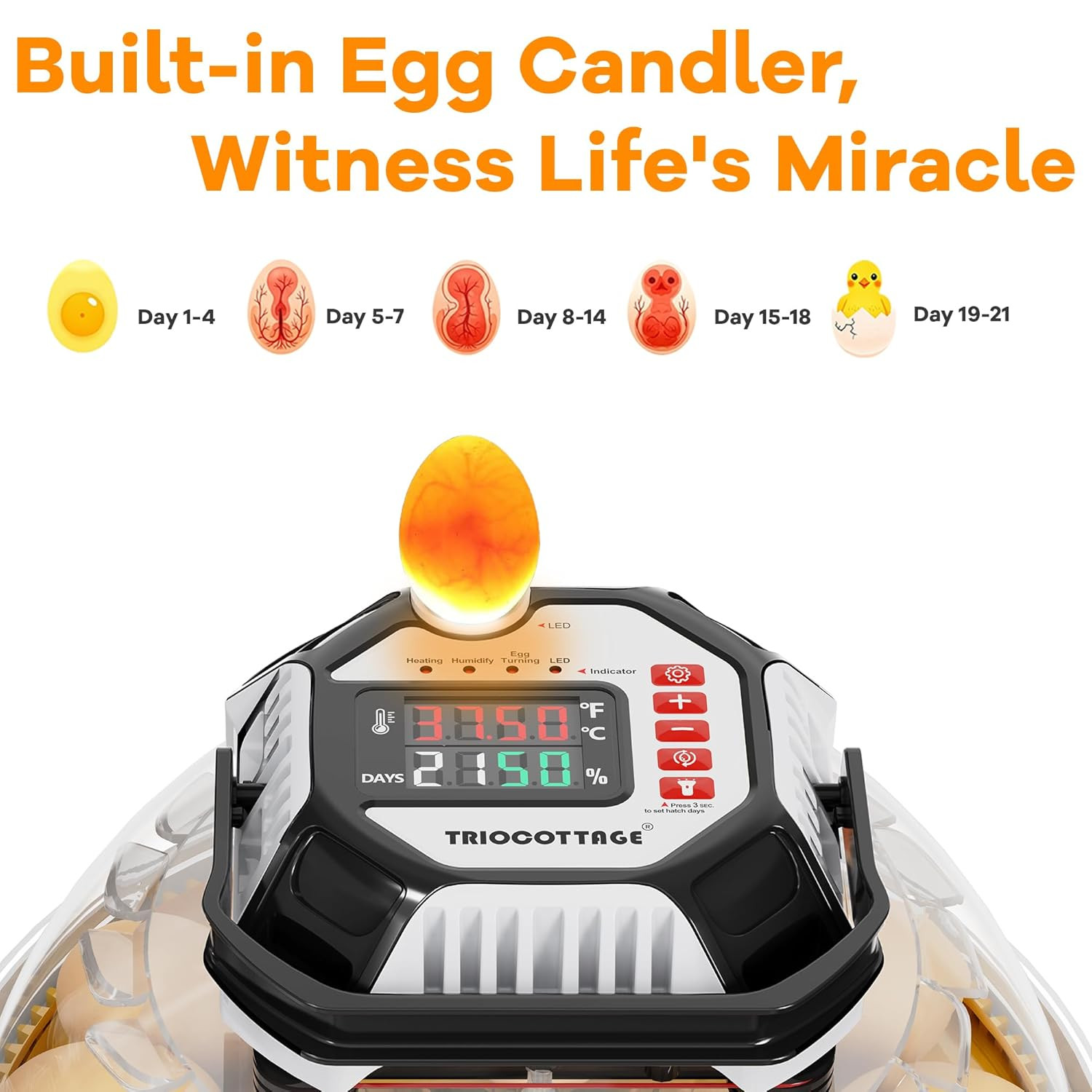 Incubators for Hatching Eggs, 12–18 Egg Capacity Digital Egg Incubator with Auto