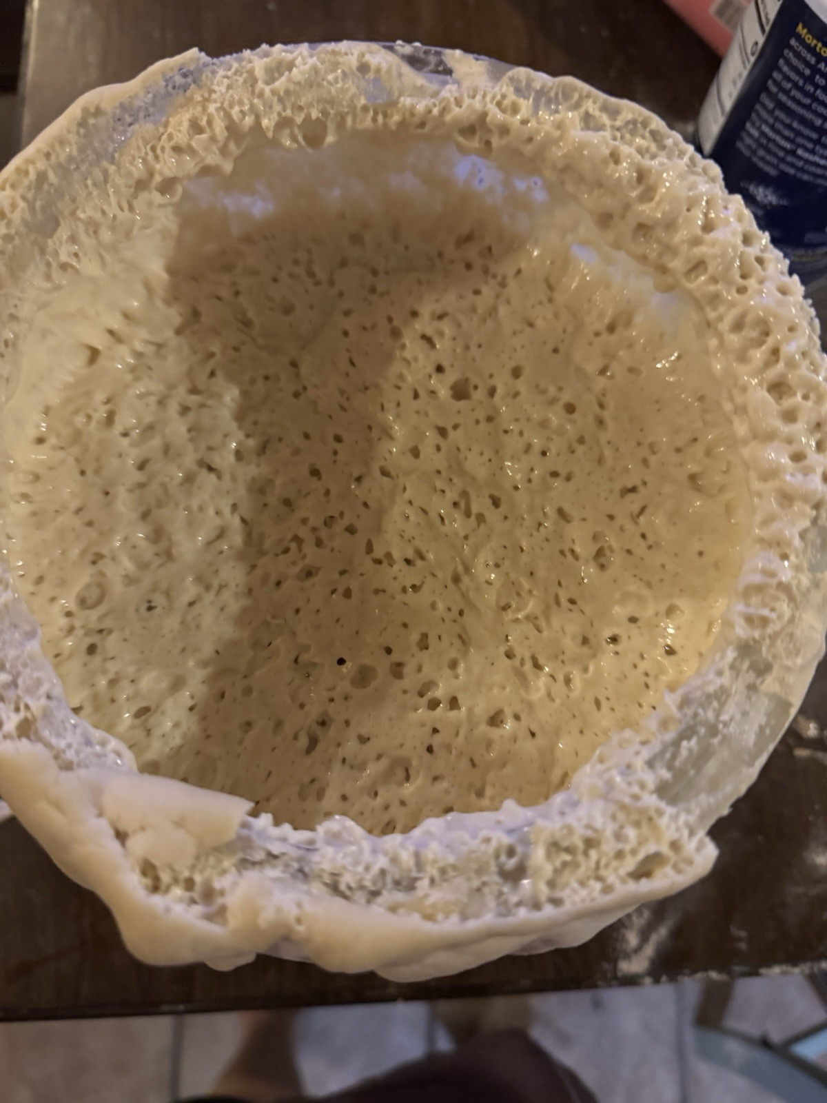 dehydrated sourdough starter