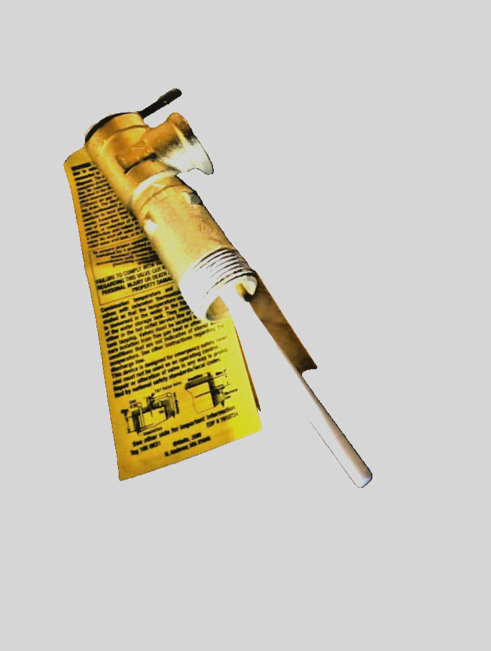 230-40594-03 Bradford White T & P Relief Valve 3''