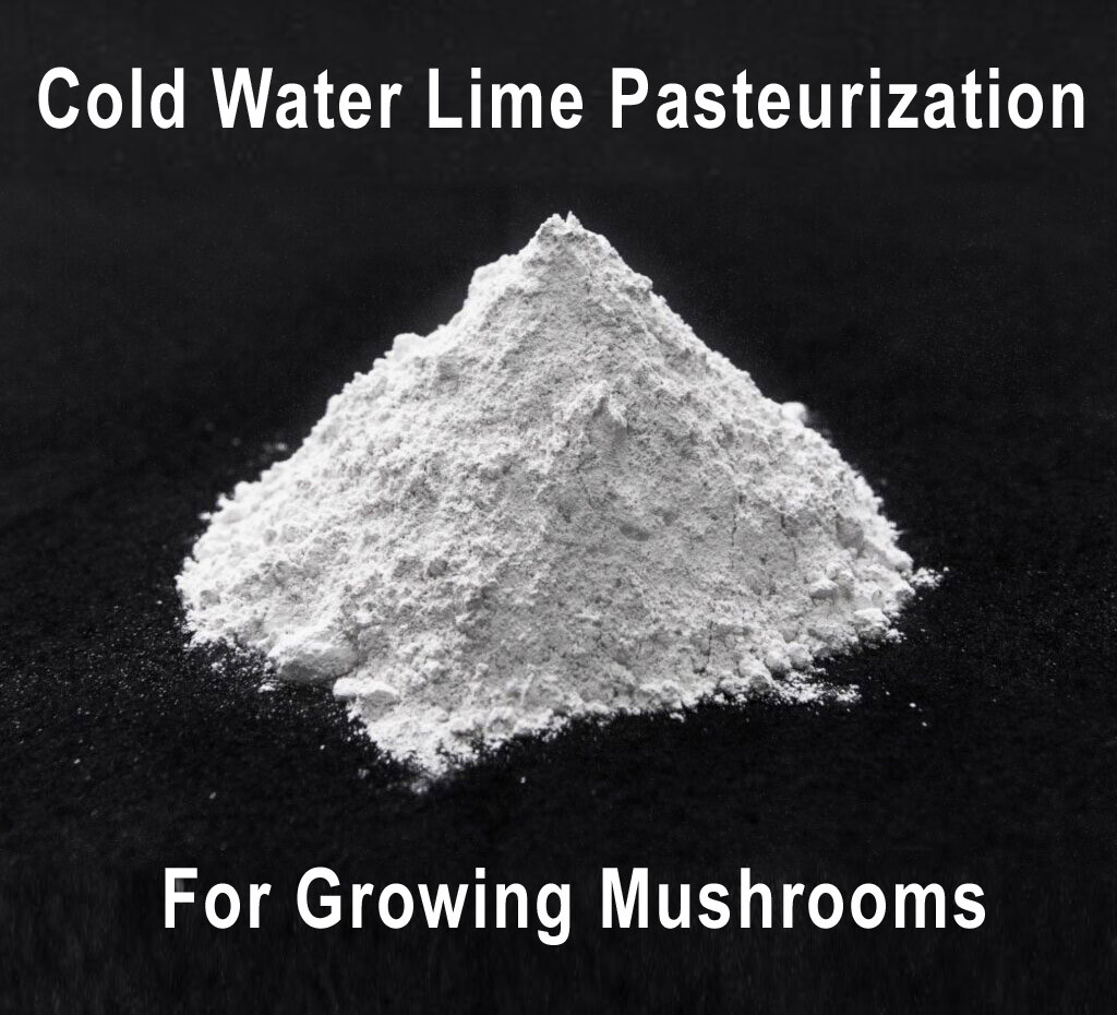 Mushroom Cold Water Lime Pasteurization 3oz Hydrated Calcium Hydroxide Tek