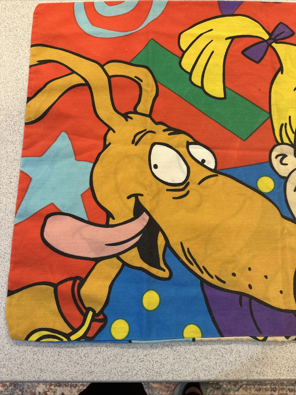 Vintage Rugrats Pillow Cases 2 GUC Preowned 90s Nickelodeon