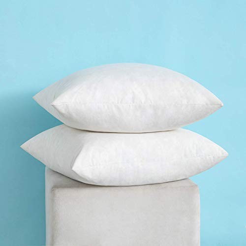 Set of 2 Decorative Throw Pillow Inserts, Down and Feather Cotton 18''x18''