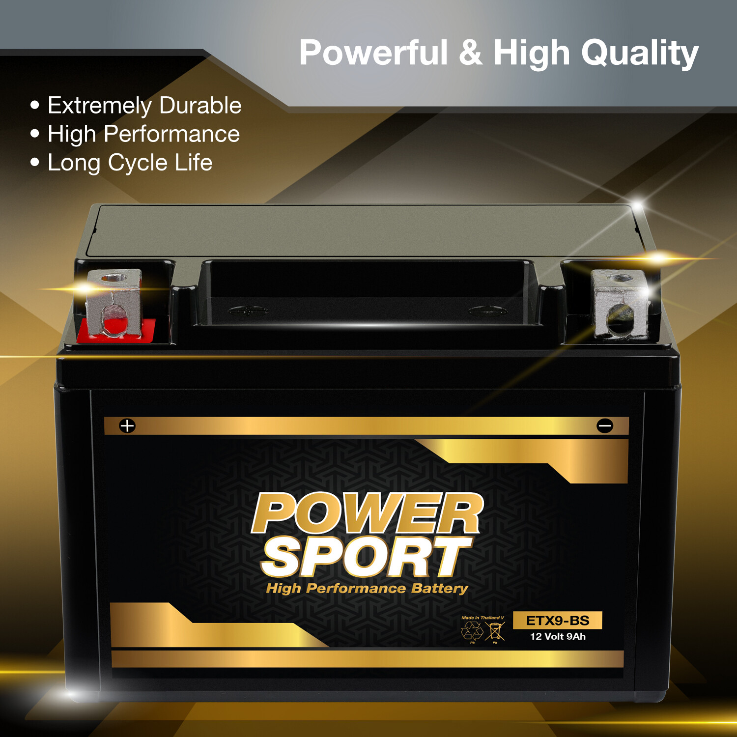 YTX9-BS Replacement for PTX9BS Predator Generator 8750 watt