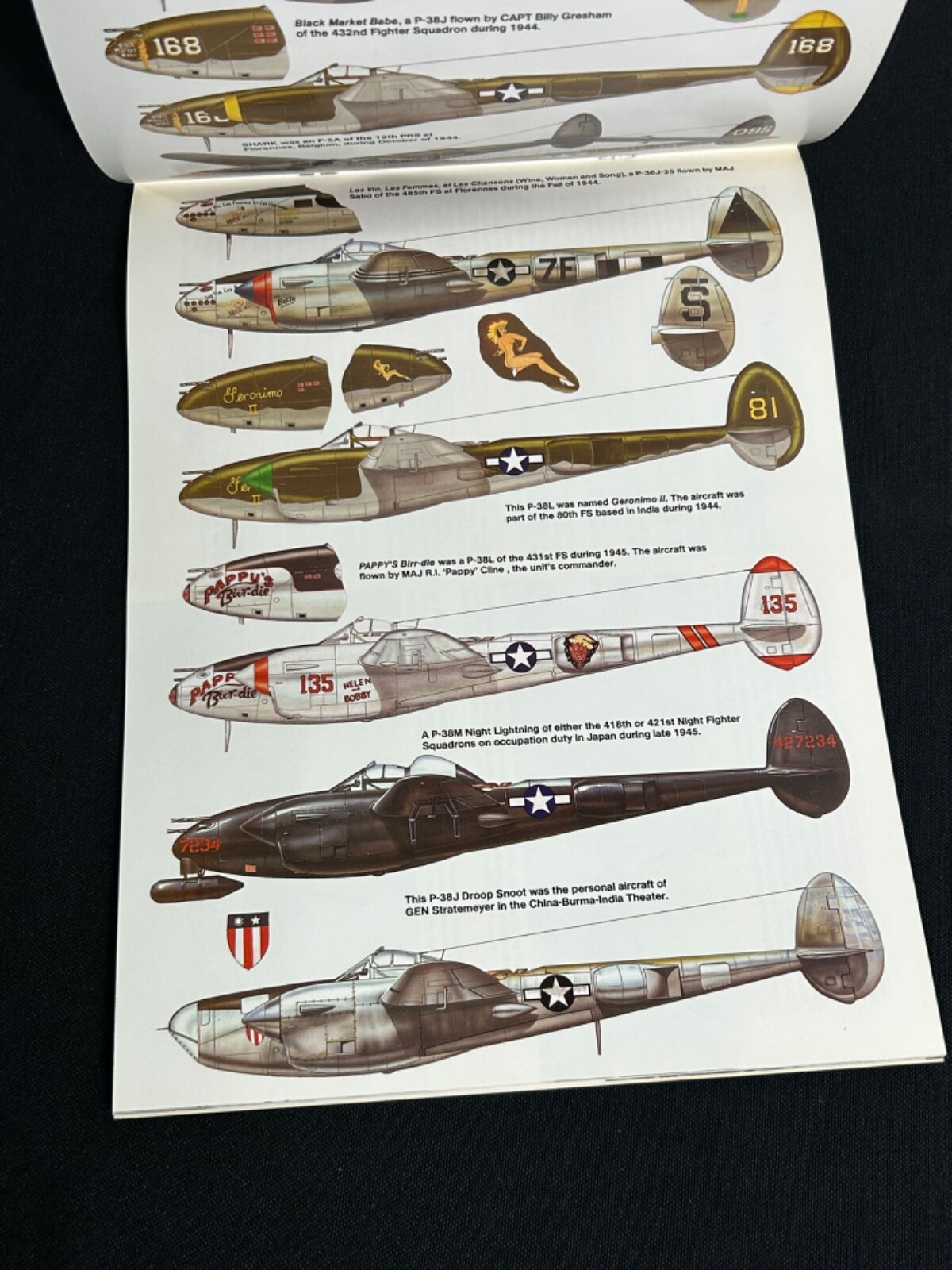 P-38 Lightning In Action Book