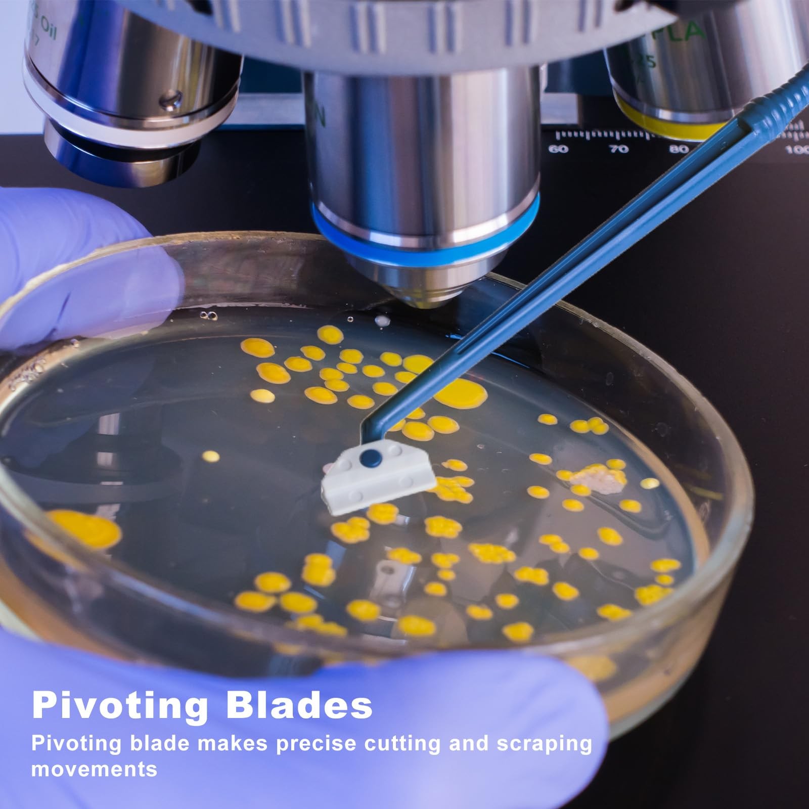 Biologix 100PCS Cell Culture Scraper, Multi-Position 18cm Handle Cell Scraper...
