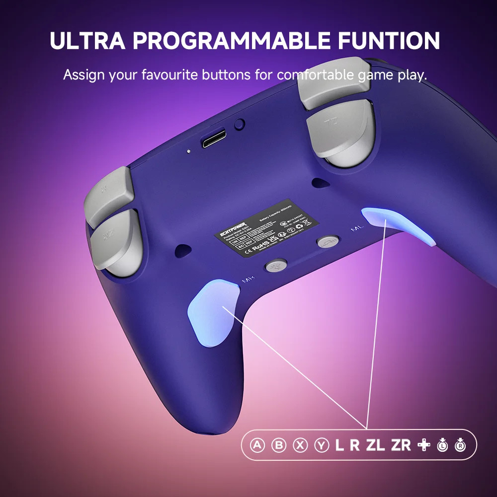 Echtpower Wireless Pro Controller for Nintendo Switch with Hall Effect Joysticks