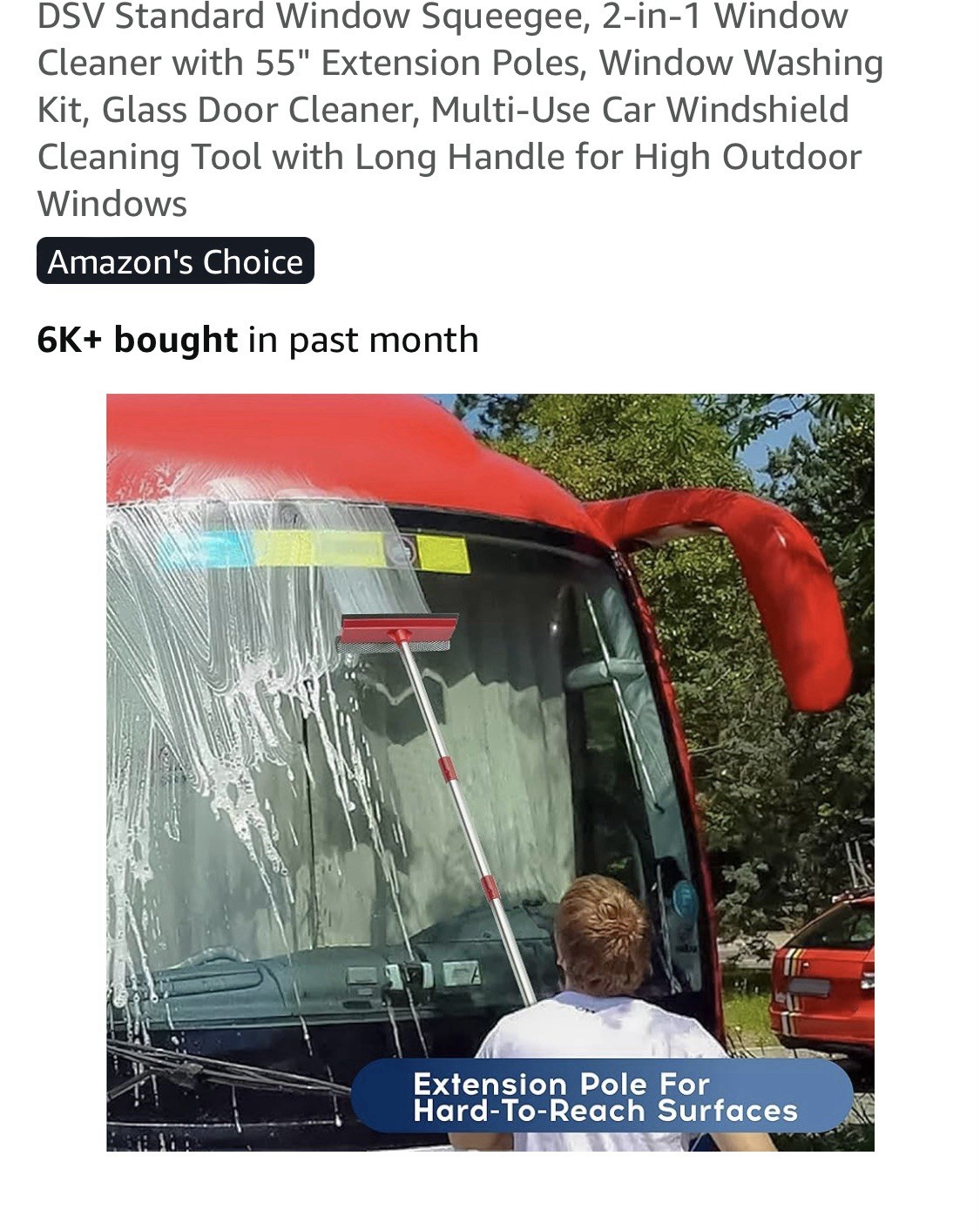 DSV Standard Window Squeegee
