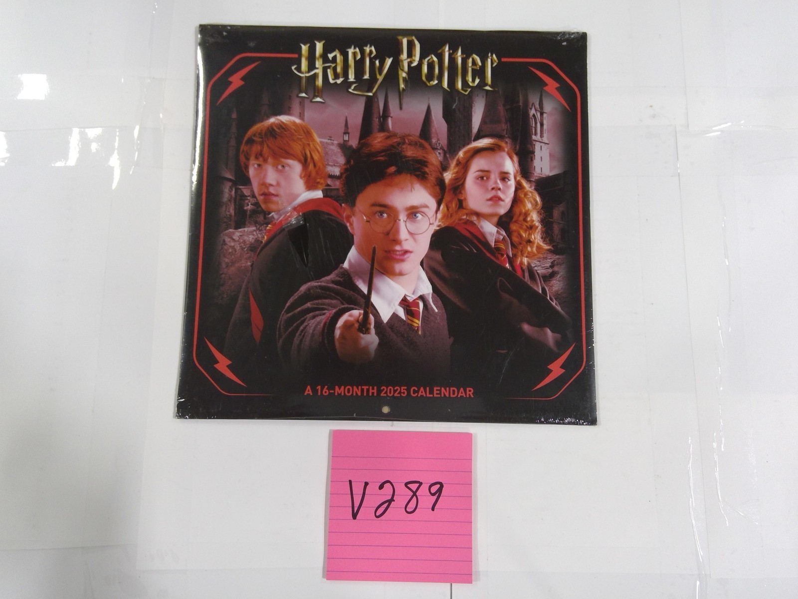 Harry Potter 2025 Wall Calendar 16-Month DateWorks Movie Wizards Sealed New