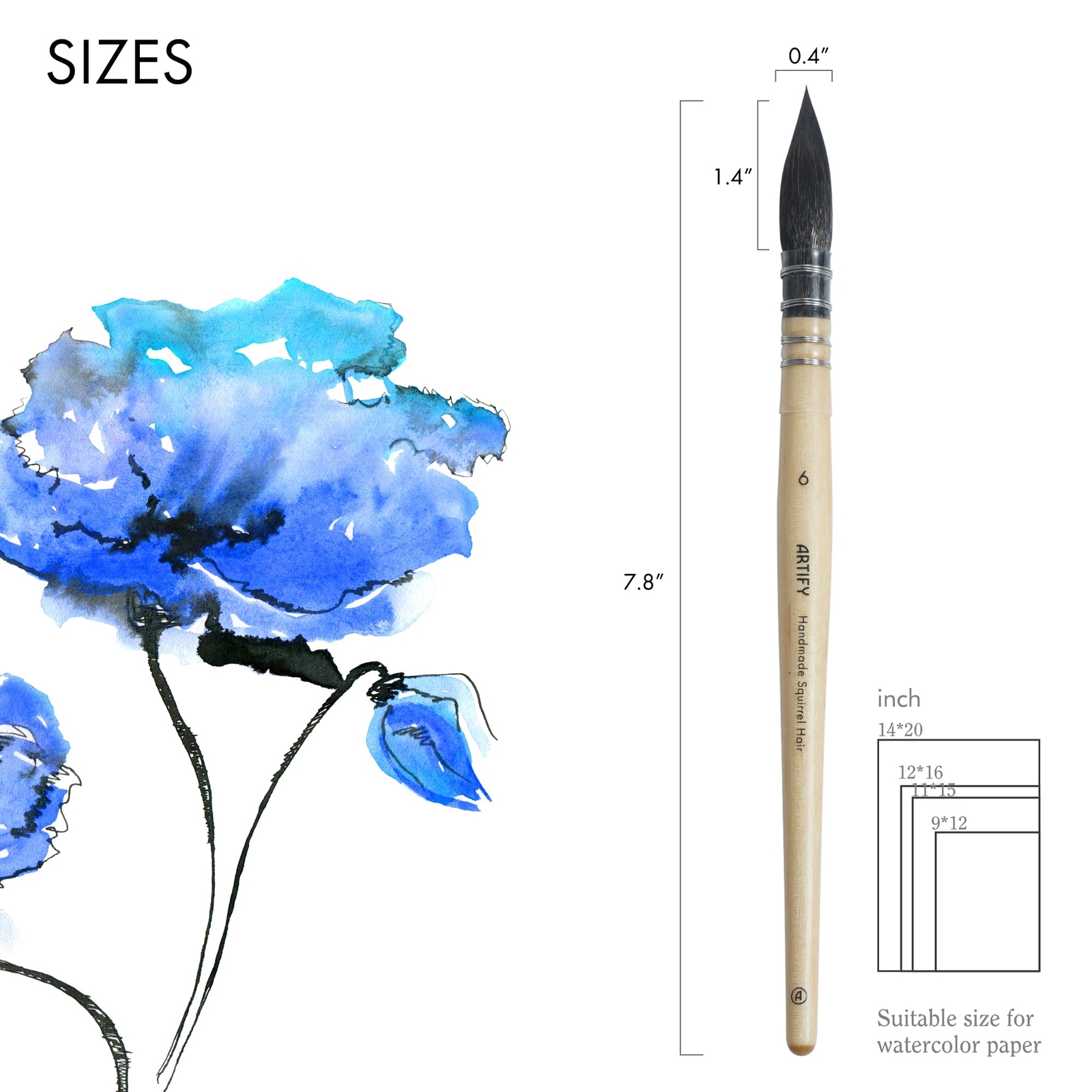 ARTIFY Professional Natural Squirrel Hair Quill Watercolor Brushes | Mop Roun...