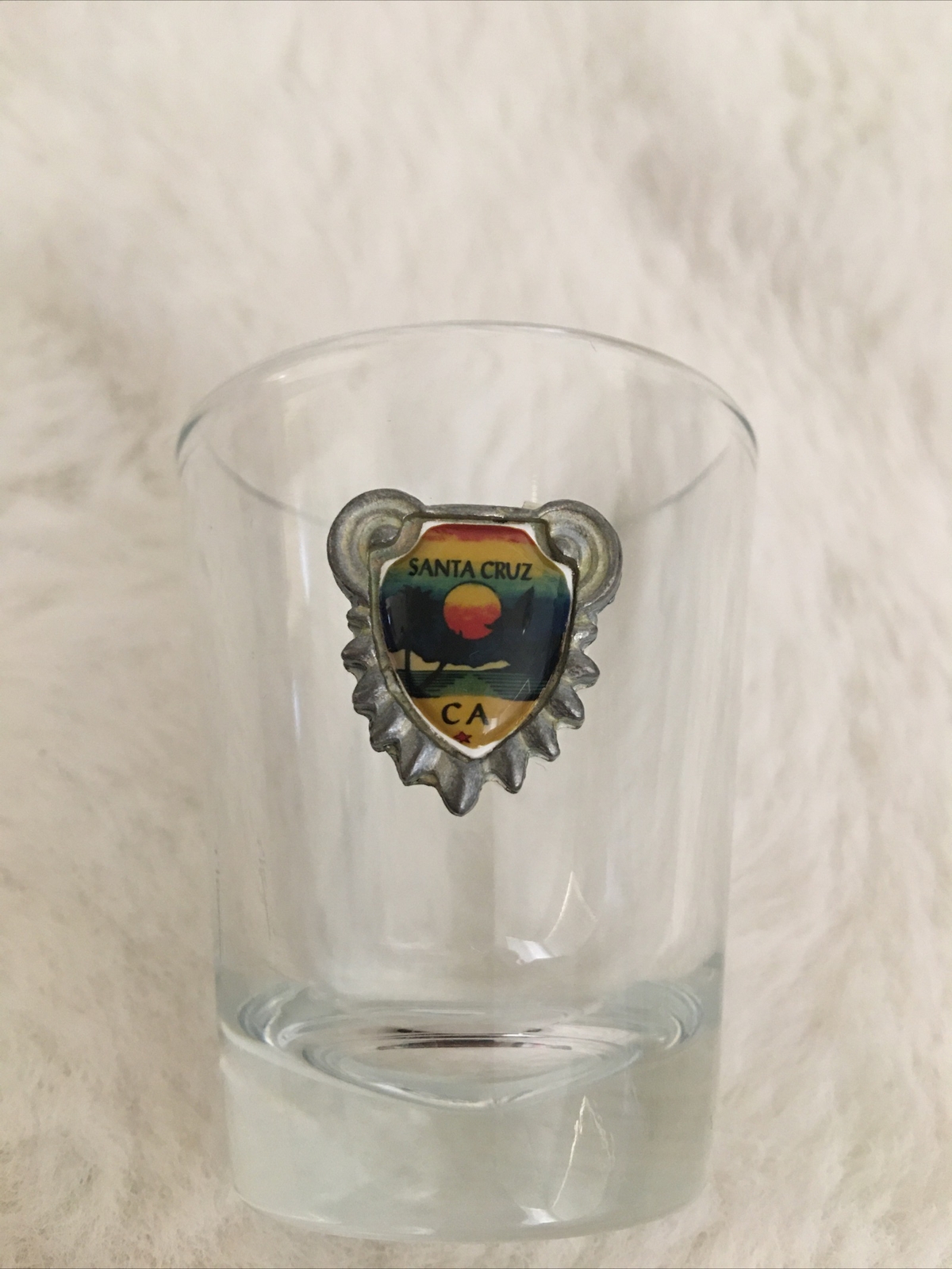 Santa Cruz CA Souvenir Shot Glass