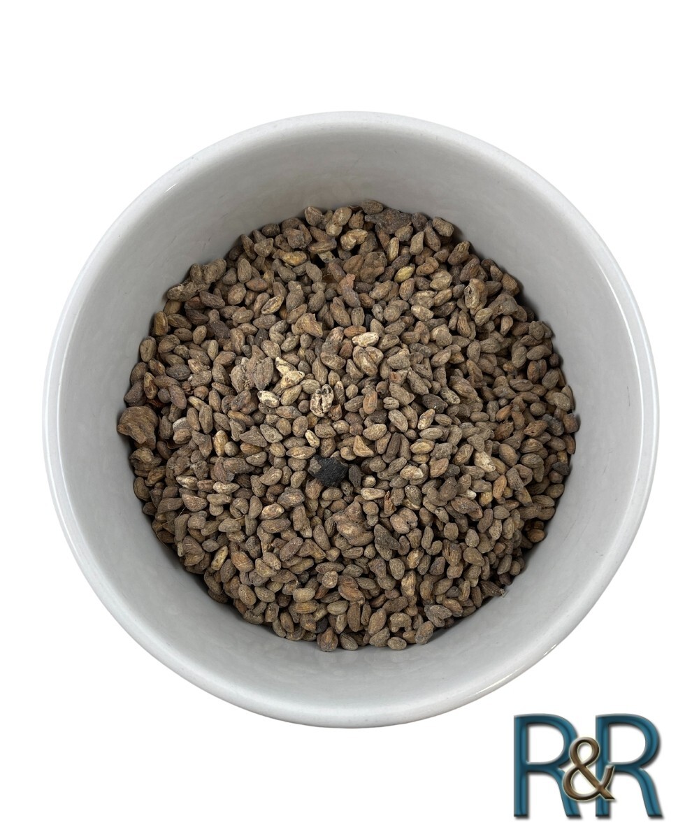 Organic Voacanga Africana Seeds Ghana Alkaloid USA Fresh Remedy