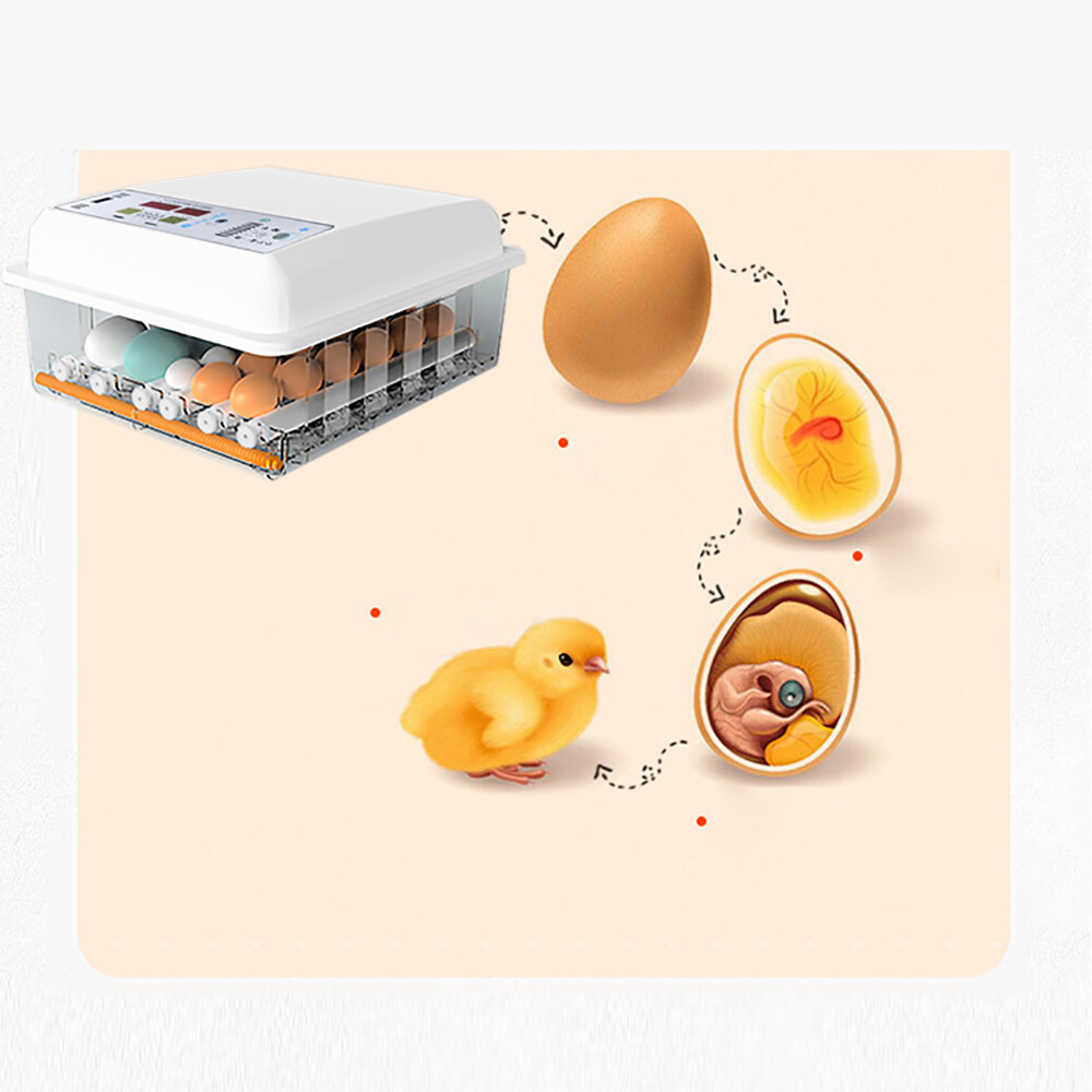 Egg Incubator 64 Eggs Fully Digital Automatic Hatcher Fit Hatching Chicken Farm