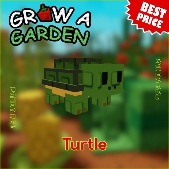 Turtle - Grow A Garden | GAG | Cheapest