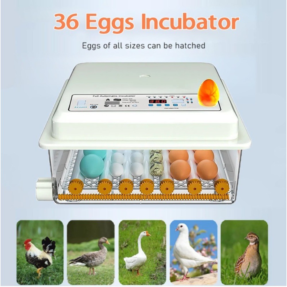 36Egg Incubators for Hatching Eggs with Automatic Egg Turning and Egg Candler