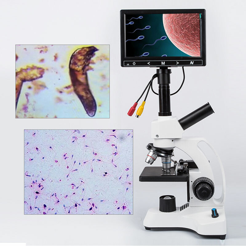 7″ Screen 40X-2000X Biological Microscope Sperm Locust Blood Test Microsocpe