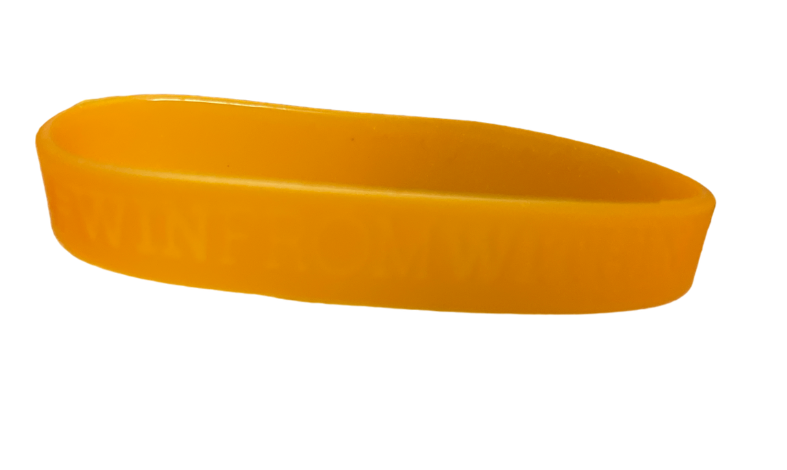 Gatorade Zero Tablets Twin (2) Tubes with Free Gatorade #winfromwithin Wristband