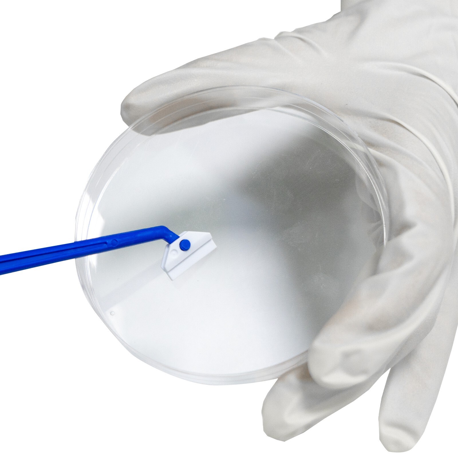 18cm Cell Culture Scraper, Sterile, Individually Packaged, 100 Pcs /Case