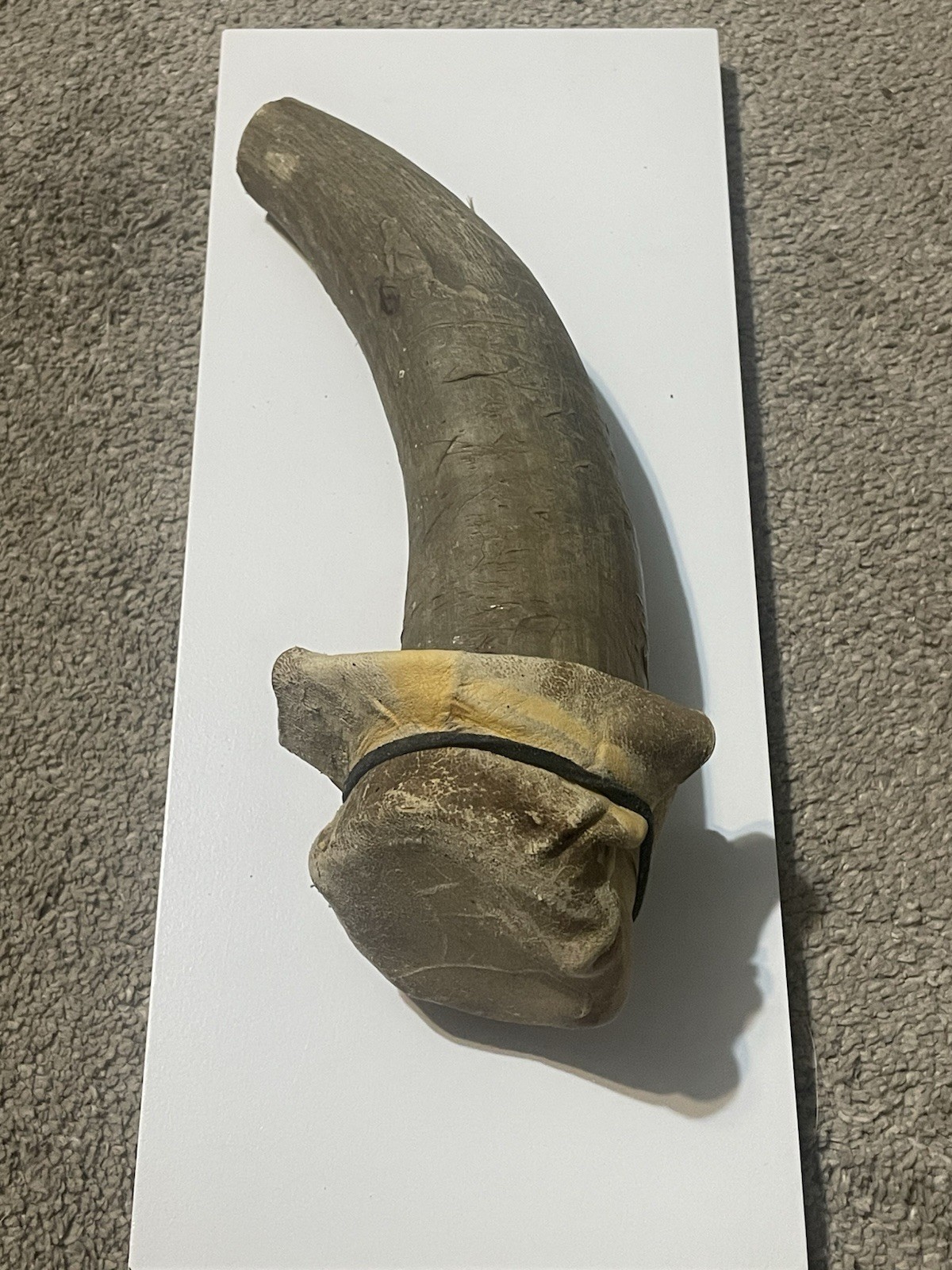 Gun Powder Horn Holder With Leather Strap