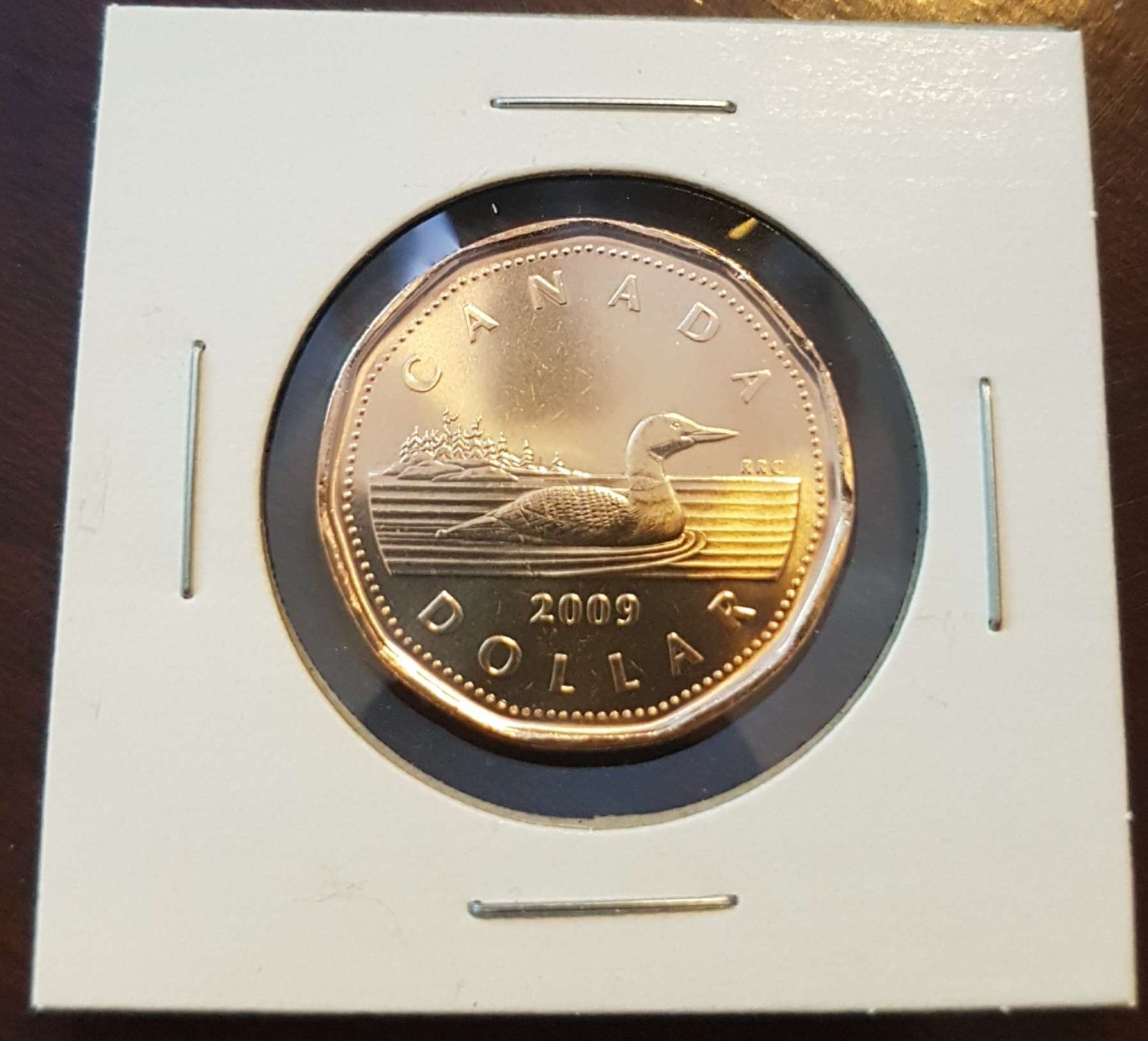 2009 Canada $1 Dollar Loonie - Uncirculated Mint State - 1x UNC Coin from Roll