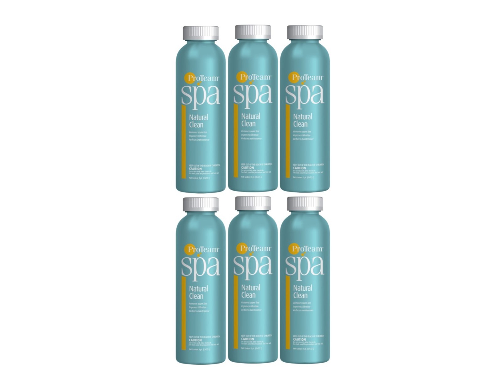 6 Proteam Natural Clean - 1 pt